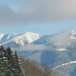 Plesnivec Διαμέρισμα *