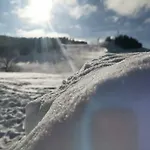 Plesnivec