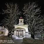 Plesnivec
