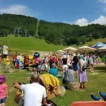 Plesnivec *