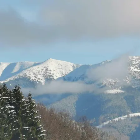 Plesnivec 아파트 *