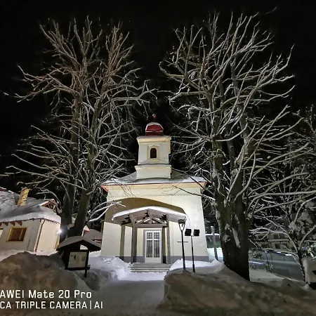 Plesnivec