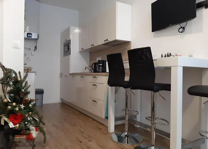 Lägenhet Plesnivec *